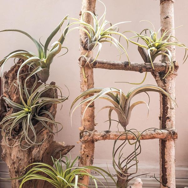 

decorative flowers & wreaths air grass simulation pineapple el window decoration artificial wedding plastic flower garden on-site layout diy