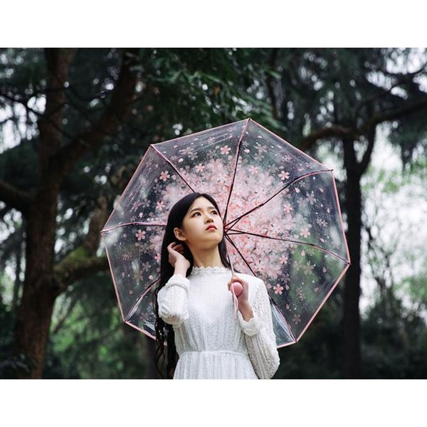 

three fold umbrella women transparent clear cherry blossom mushroom apollo sakura folding sunshade umbrella rain women qylgfu