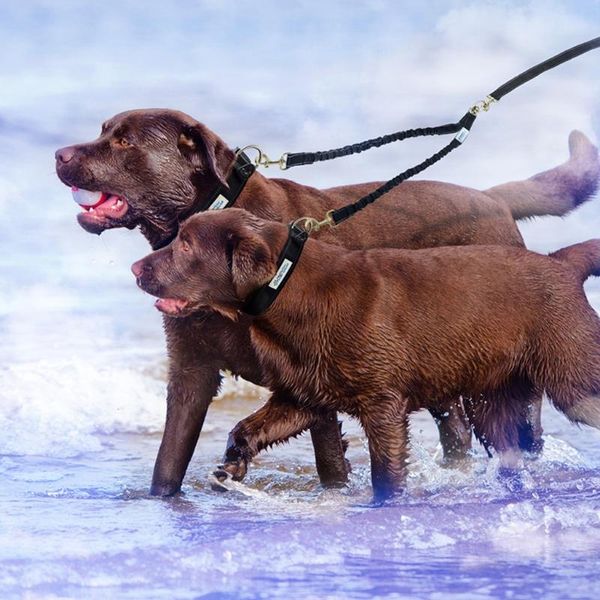 

dog collars & leashes double buffer lead coupler two pet dogs walking duplex leash splitter 896b