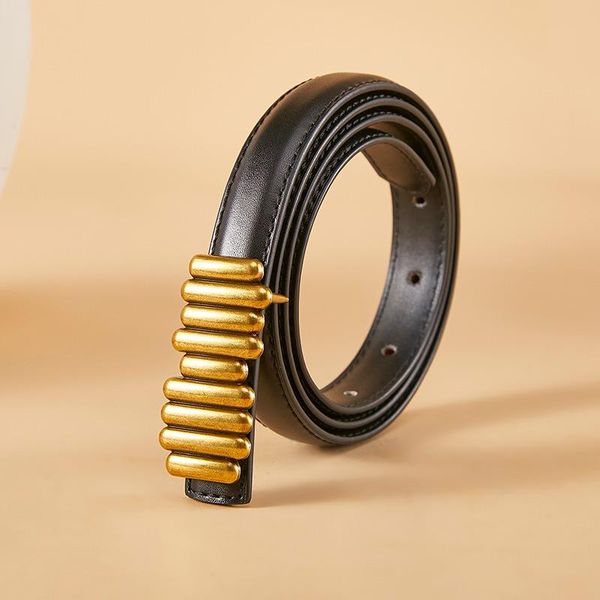 

belts 2021 fashion women's leather thin belt decorative dress summer simple suit closing for women fashionable all-match, Black;brown