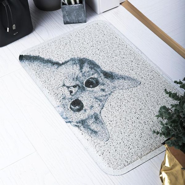 

cushion/decorative pillow 40*60cm household door pvc carpet foot mat non-slip rug porch floor mats into hall blanket animal 45*75cm