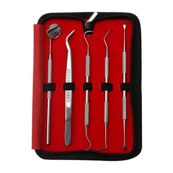 

professional hand tool sets 4/5 pcs tools for tooth scraper kit stainless toothpastes dental dentist seek mirror instruments