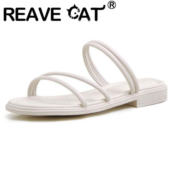 

slippers reave cat 2021 fashion concise narrow band solid open toe slip on 2cm chunky heel shoes size 34-40 black beige a4260