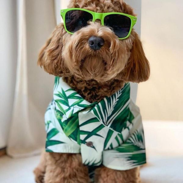 

dog apparel t-shirt pet's summer clothes home shirt holiday vacation pet decoration