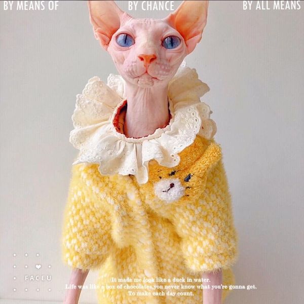 

cat costumes winter thick warm jacket sphinx devon hairless clothes sweet coat accessories supplies