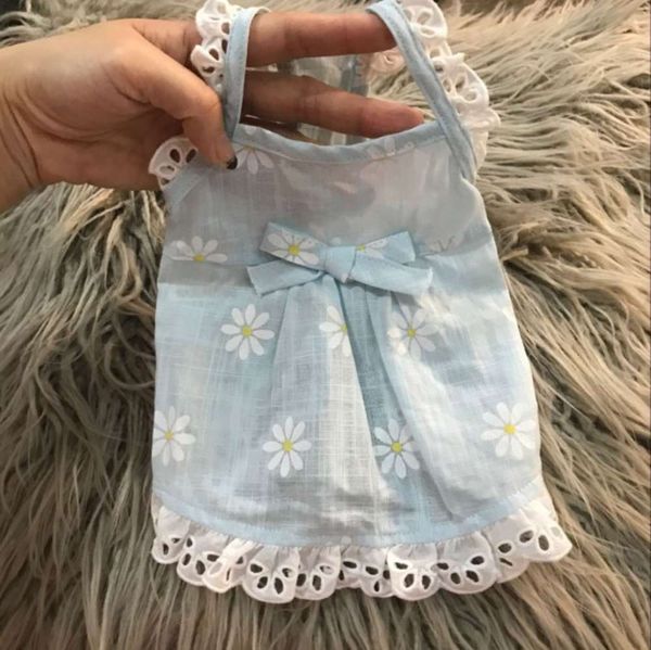 

teddy spring and bear bomei cat pet summer princs dog drs