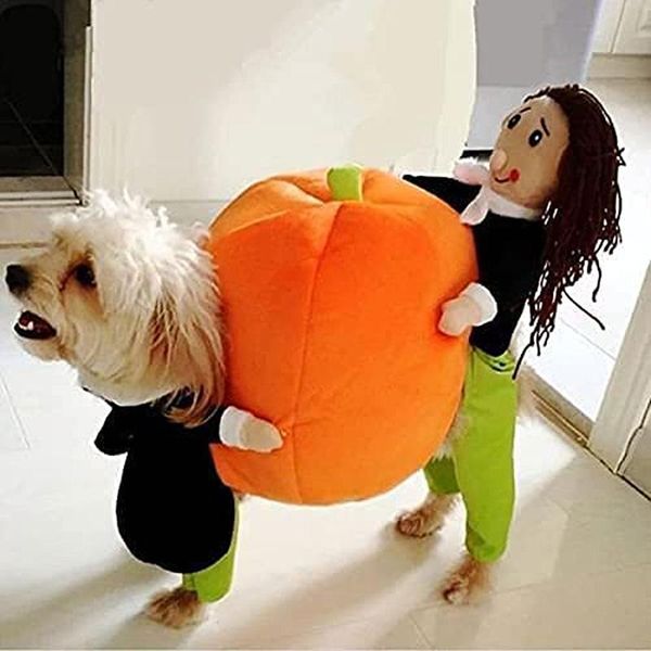 

cat costumes halloween pet dogs clothes carry pumpkin jumpsuit special events apparel outfit cute