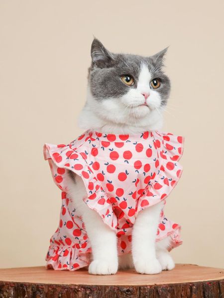 

cat costumes cute pet shirt summer clothing for small dogs dress cats schnauzer pug hoodies puppy clothes breathable