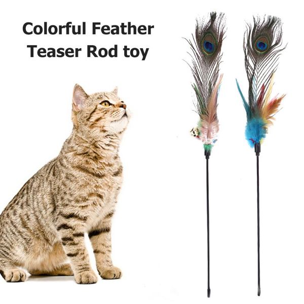 

cat toys bell peafowl feather teaser rod interactive pet plastic playing set funny molar wand