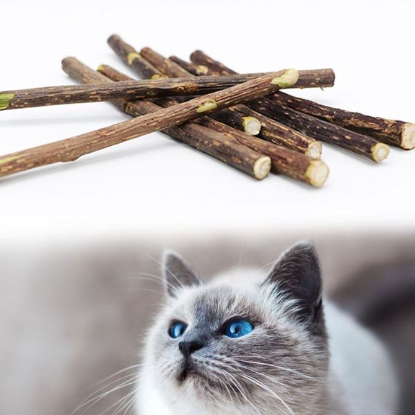 

cat toys 5pcs catnip stick interactive toy for kitten cleaning cats teeth healthy wooden pet supplies products