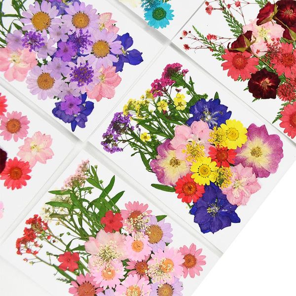 

decorative flowers & wreaths small dried pressed flower diy scrapbooking preserved for home wedding party decoration mini bloemen flores sec
