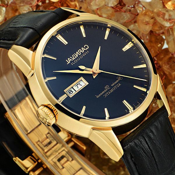 

switzerland carnival brand luxury watches automatic self-wind watch men sapphire reloj hombre relogio clock c8646g-4, Slivery;brown