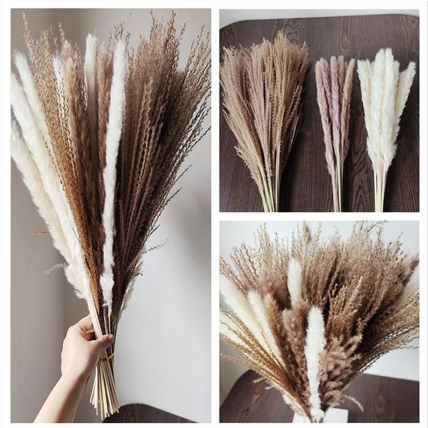 

decorative flowers & wreaths 30pcs 45cm reed pampas wheat ears tail grass natural dried bouquet wedding decoration hay for party bohe