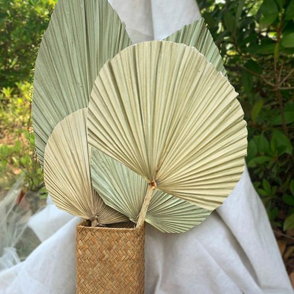 

other home decor dried sacred palm leaves leaf plants sunflower window wedding arch flower arrangement hanging wal