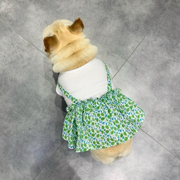 

pet dog drs summer thin french bull small milk ba ge back