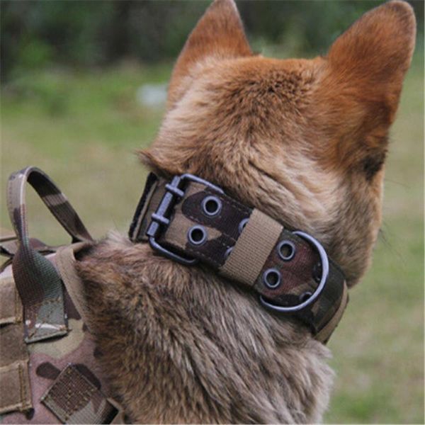 

dog collars & leashes solid brief tactical military adjustable training collar nylon leash metalbuckle