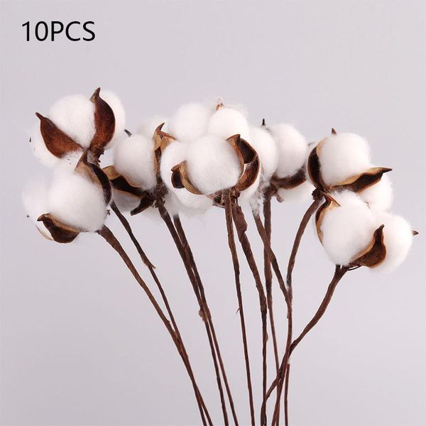 

decorative flowers & wreaths naturally dried cotton white real plant branch bouquet home flower decor for living room decoration