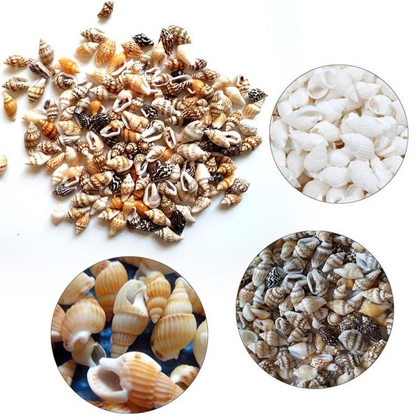 

100pcs natural conch shells aquarium decoration home decor natural sea beach shell conch seashells for diy crafts