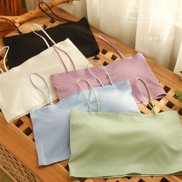 

gym wear athletic yoga accessories women anti-sweat sport fitness shockproof padded running workout crop breathable bra outfit