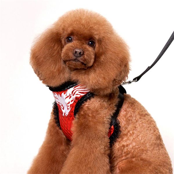 

dog collars & leashes fashion summer trend pet harnesses faucet pattern bump feel for and cat puppy beagle supplies accessories