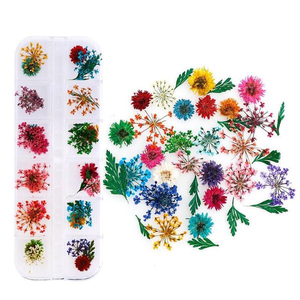 

1 box natural dried flower diy resin glue filling home decoration articles nail accessories making craft diy acc jllsgf