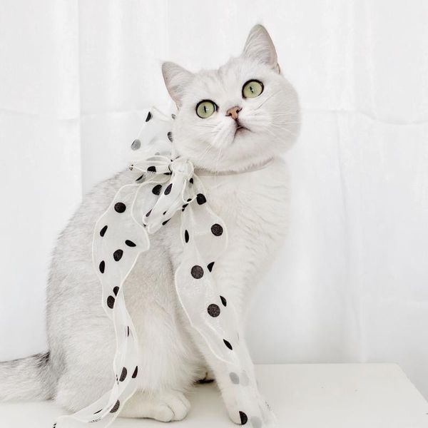 

cat collars & leads pet collar lace dot bow ribbon adjustable safety buckle small dog fairy necklace princess birthday accessories