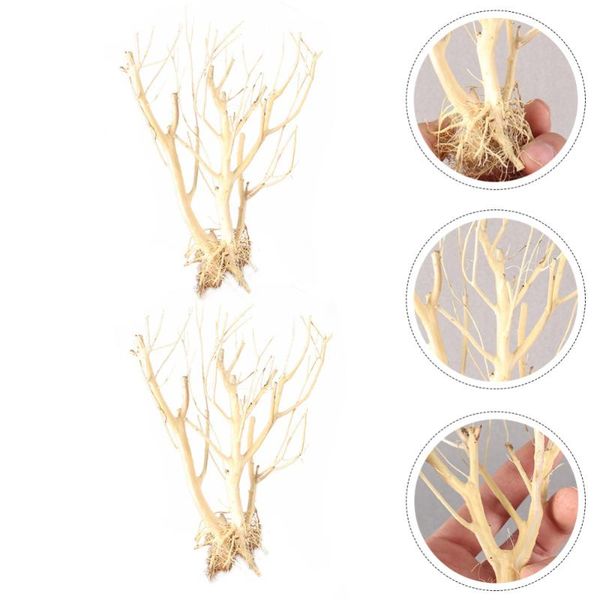 

2pcs decorative twigs prop aquarium adornment fish tank accessory (random shape)