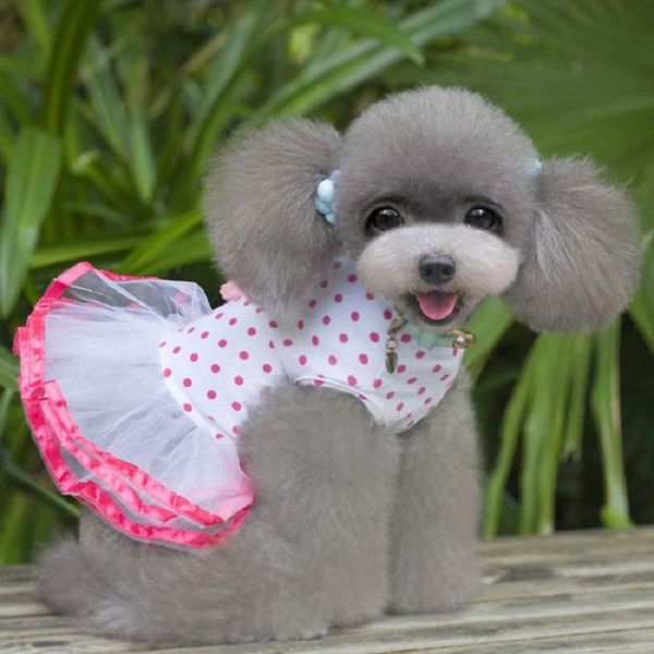 

dog apparel summer pets dress 2021 fashion puppy princess cherry lace skirt pet tutu