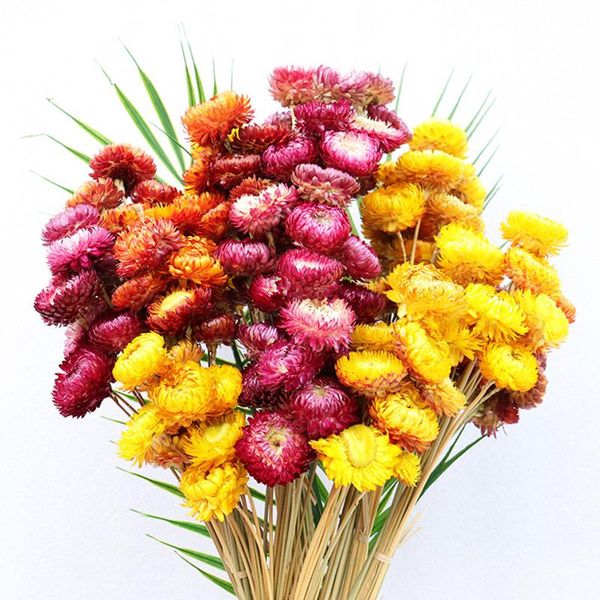 

decorative flowers & wreaths 10pcs natural chrysanthemum bouquet daisy sunflower dried plant flower home decoration mother's day gift li