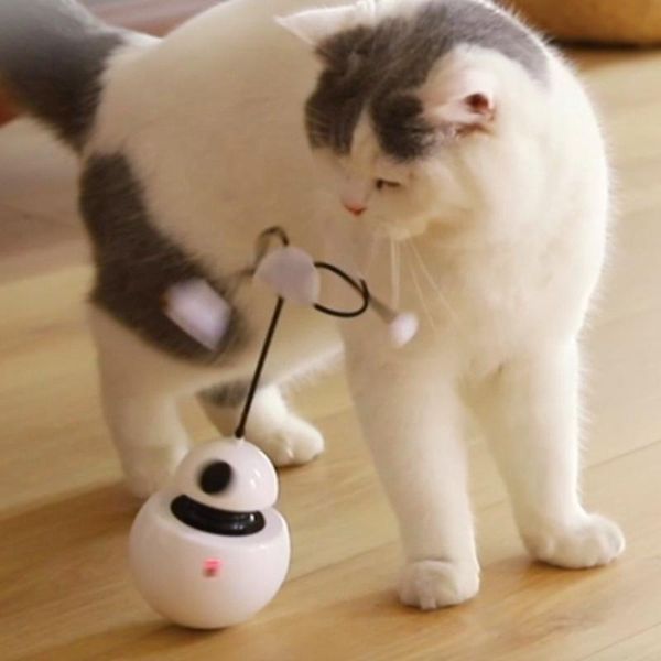 

cat toys kitten toy automatic laser robert funny pet play dolls tumbler ball interactive feather