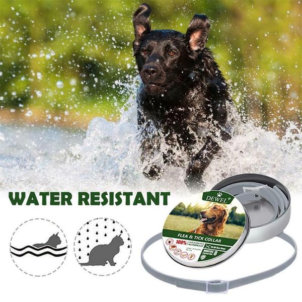 

dog apparel pet collar anti flea ticks mosquitoes outdoor adjustable cat accessories 8 months long-term protection