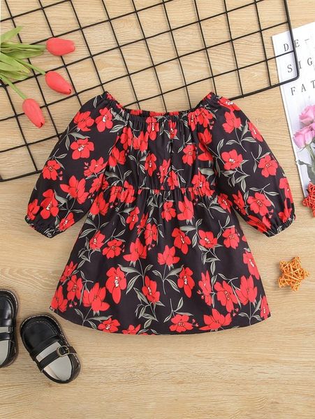 

baby floral print lantern sleeve dress she, Red;yellow