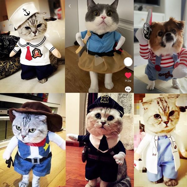 

pudao taimeow cat cloth autumn winter upright funny dog summer thin