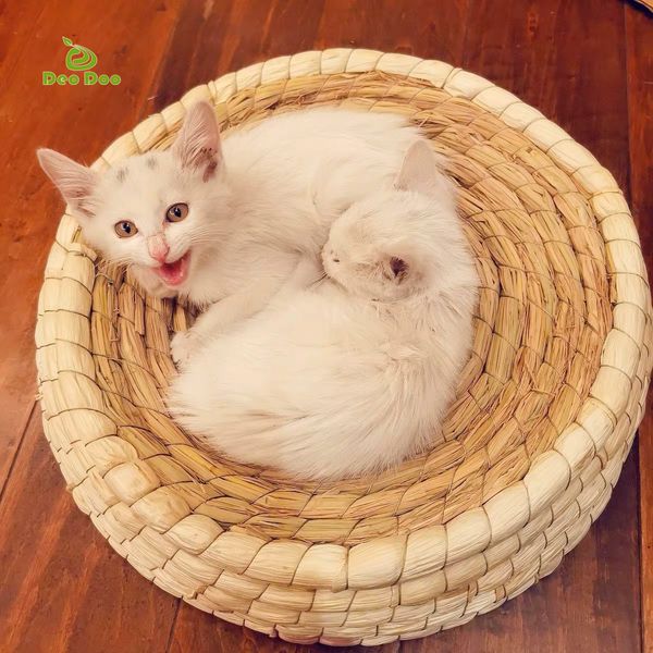

Handmade Cat Bed for Summer Biodegradabe Pet St Braided Bed Puppy Kenne Cat Nest Kitten Scratching Seeping Mat Pets House