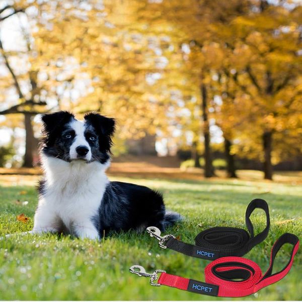 

pet supplies medium-sized dog border collie double rope leash outdoor haulage cable nylon reflect light traction belt opp c242
