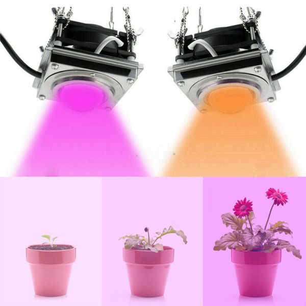 LED Wachsen Licht 2000W Indoor Pflanzen COB Gesamte Spektrum Pflanze Lichter Wachstum Lampe Zelt Box Lampen Für Home Pflanzen blumen