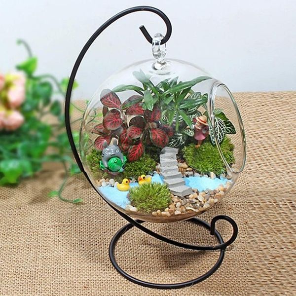 

creative clear glass ball vase micro landscape air plant terrarium succulent hanging flowerpot container flower vases for homes