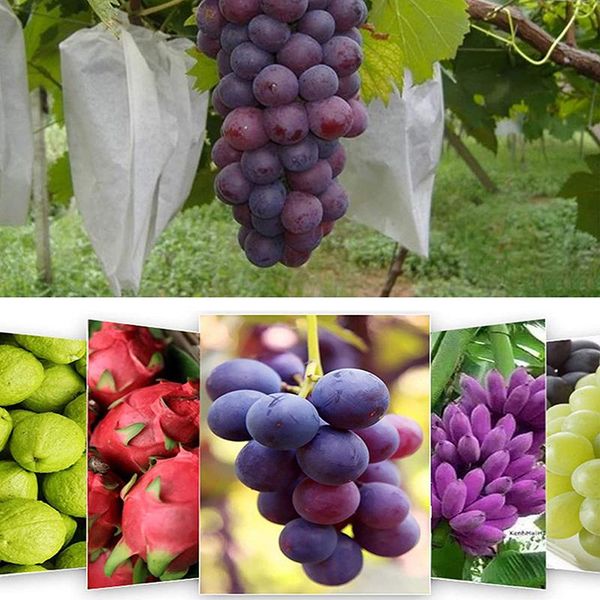 

planters & pots 100pcs fruit protection bag garden grape insect pouch anti bird drawstring netting against pest control tool vegetable grow