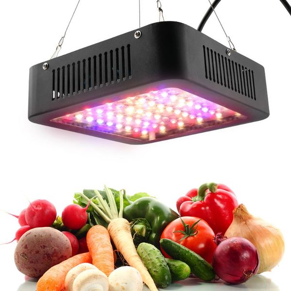 

led grow light for indoor plants full spectrum 600w double chip led plant phytolamp greenhouse seeds growing lamp 85-265v