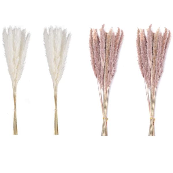 

reed dried flowers decor pampas grass simulation bouquet artificial natural dried plant for party wedding pgraphy 30pcs