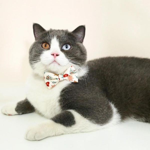 

cat collars & leads soft lovely pet puppy dogs butterfly ties collar skin friendly adorable for hiking
