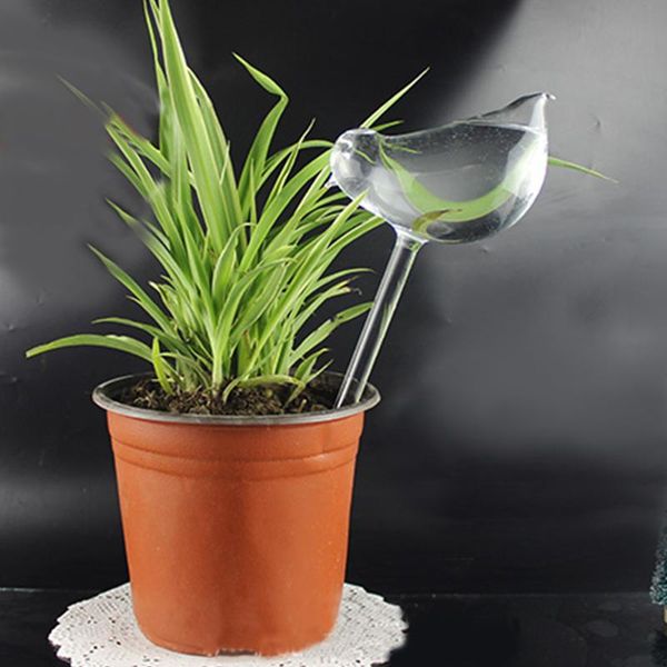 

watering equipments self globe plant water bulbs bird shape clear glass device