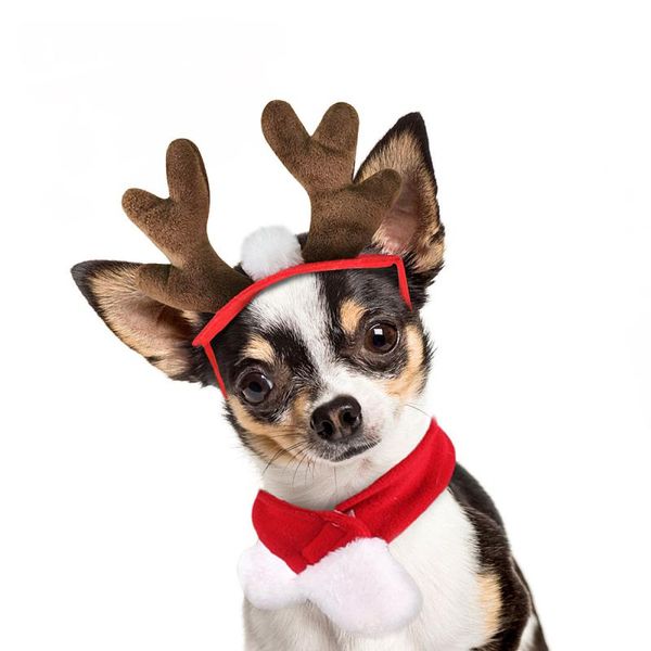 

cat costumes year pet dog headwear puppy scarf hat christmas antlers headband dress up gift po props accessories