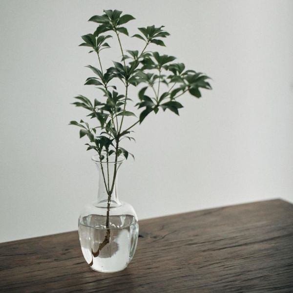 

vases luwu glass flower vase clear