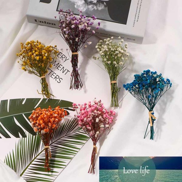 1 Stück Gypsophila Getrocknete Blumen Bunte kreative natürliche Dekoration für Fotografie Hintergrund Hochzeit Party DIY Zubehör