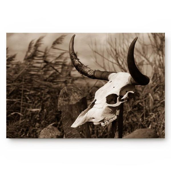 

cushion/decorative pillow animal sheep head bones bush bathroom living room doormat home decor non-slip floor mat