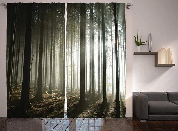 

curtain & drapes forest curtains coniferous with leafless branches on a misty autumn morning and rising sun living room bedroom window