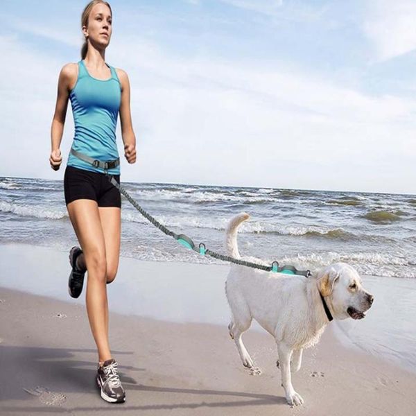 

dog collars & leashes reflective double handles pet leash for with stripes no pull durable safety ropes