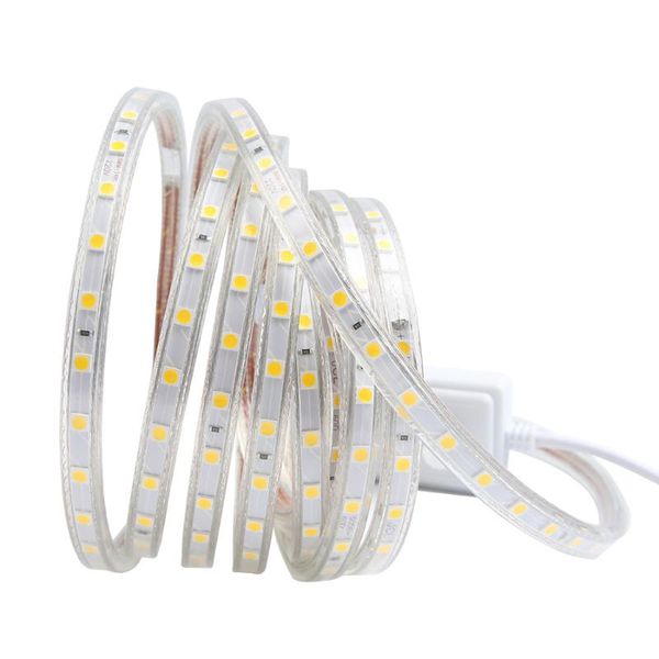 

super bright smd dimmable ac 220v led strip lightm 6m kitchen outdoor waterproof garden lamp tape with eu plug warm white