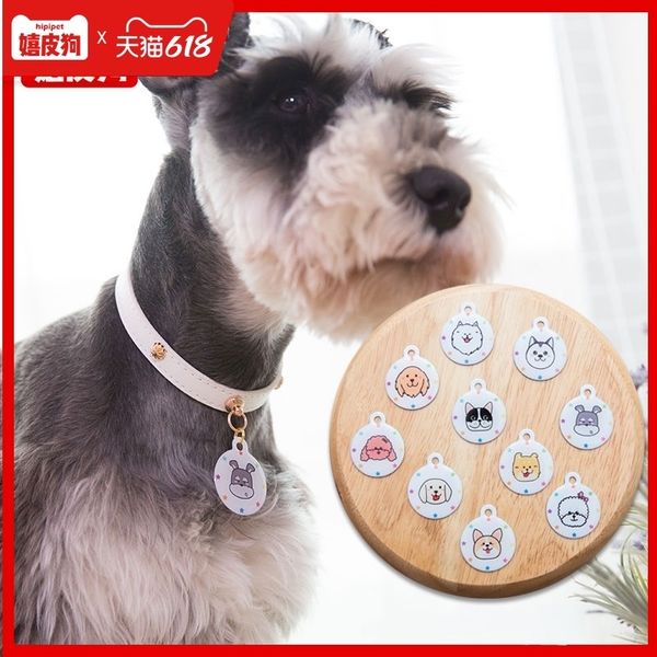 

dog id necklace small dog teddy golden pet bell collar anti lost lettering